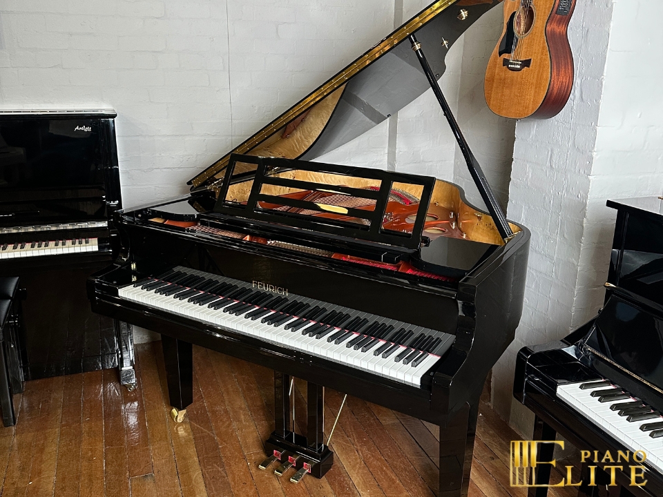 FEURICH 162 & DYNAMIC I (Black Polish & Brass)