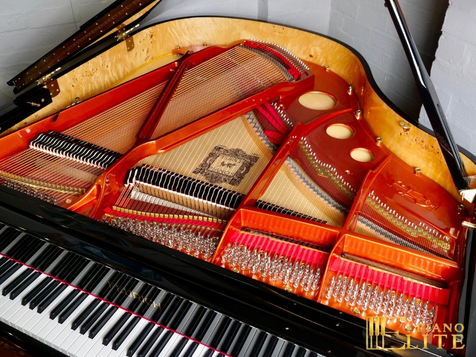 FEURICH 162 & DYNAMIC I (Black Polish & Brass) - Ảnh 4