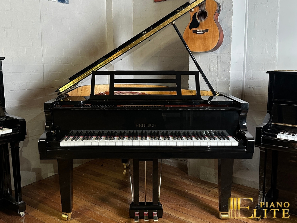 FEURICH 162 & DYNAMIC I (Black Polish & Brass) - Ảnh 2