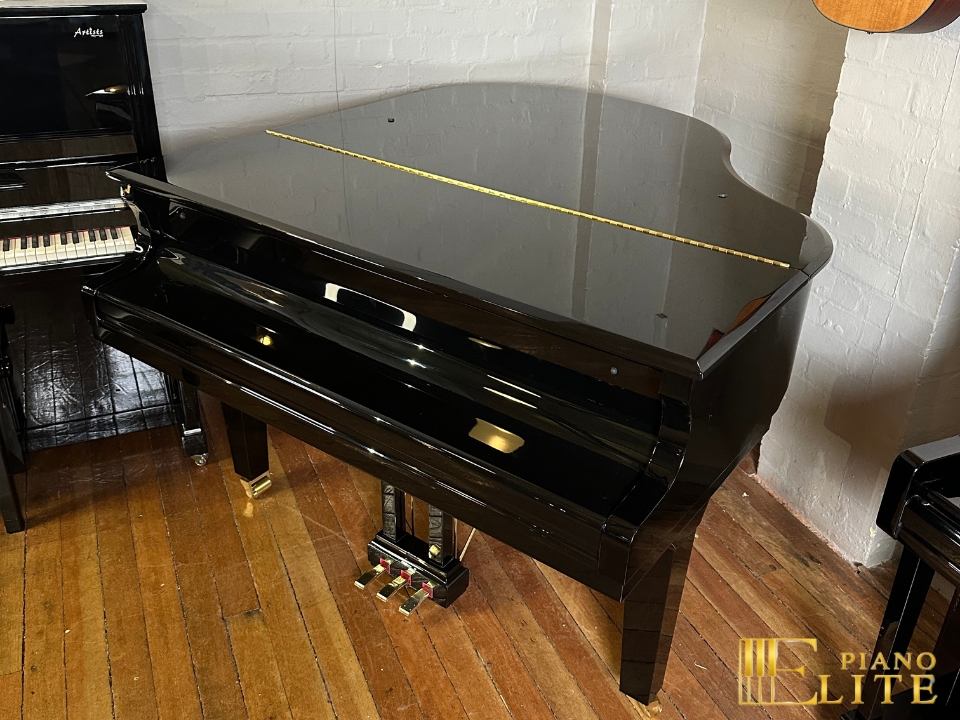 FEURICH 162 & DYNAMIC I (Black Polish & Brass) - Ảnh 5