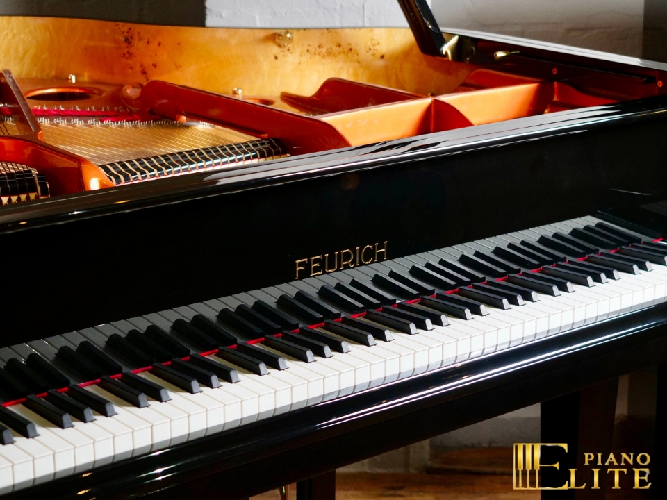 FEURICH 162 & DYNAMIC I (Black Polish & Brass) - Ảnh 3