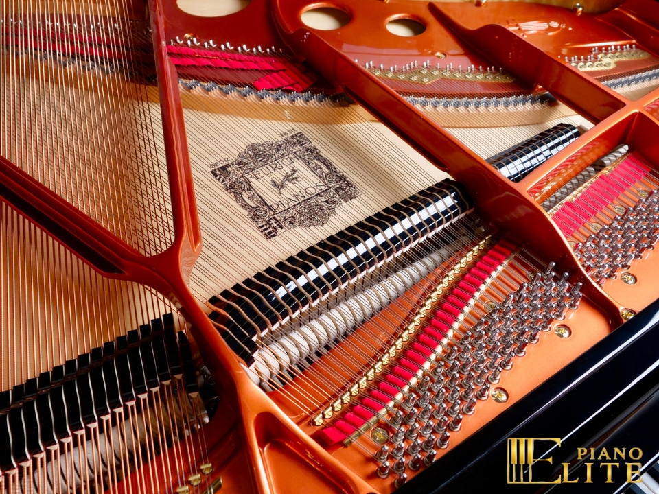 FEURICH 162 & DYNAMIC I (Black Polish & Brass) - Ảnh 6
