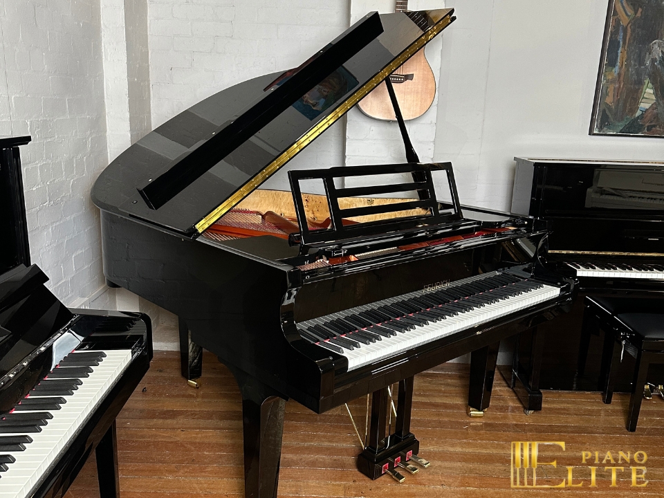 FEURICH 162 & DYNAMIC I (Black Polish & Brass) - Ảnh 7