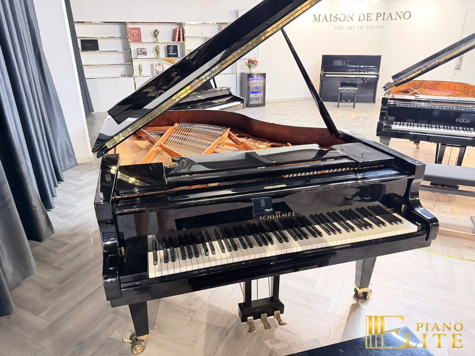 Konzert K195 Tradition - Ảnh 3