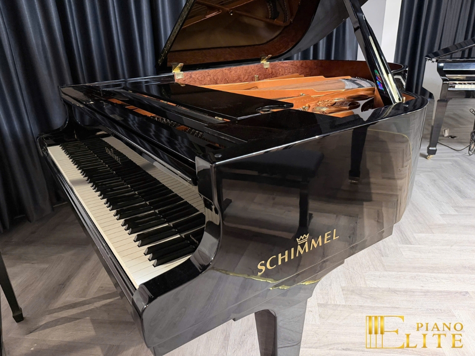 Konzert K195 Tradition - Ảnh 2