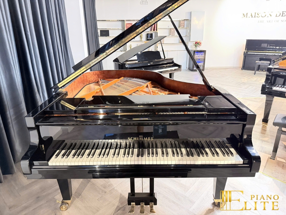 Konzert K195 Tradition
