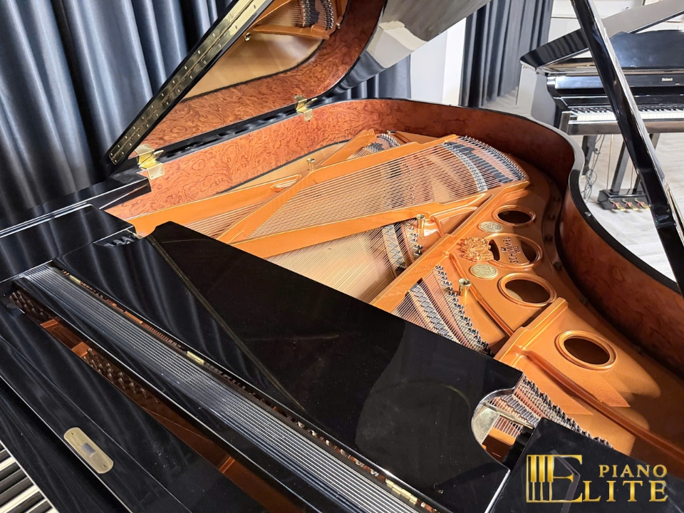 Konzert K195 Tradition - Ảnh 4
