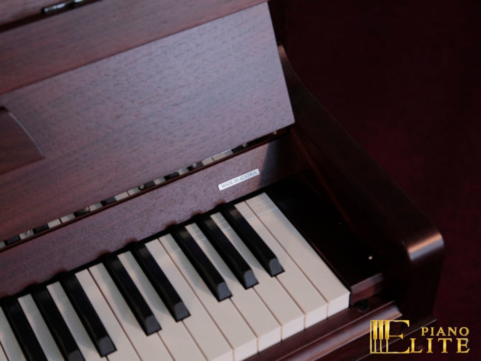 FEURICH 123 Vienna | Made in Austria | Walnut Satin - Ảnh 3