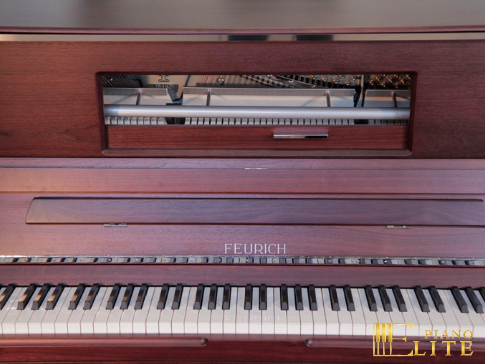 FEURICH 123 Vienna | Made in Austria | Walnut Satin - Ảnh 5