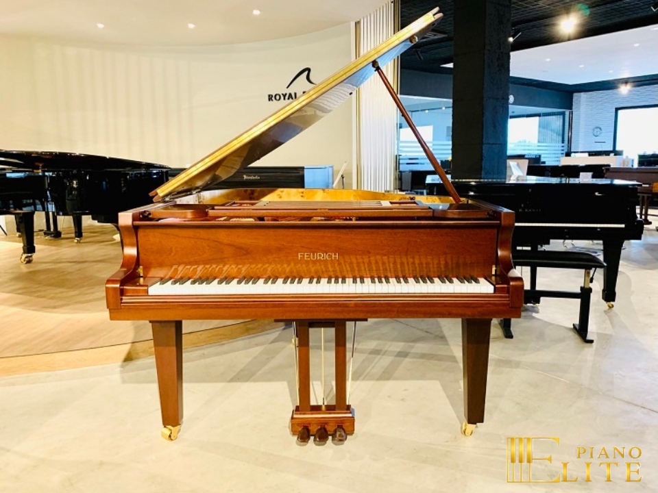 FEURICH 162 - "DYNAMIC I" (Satin Walnut)