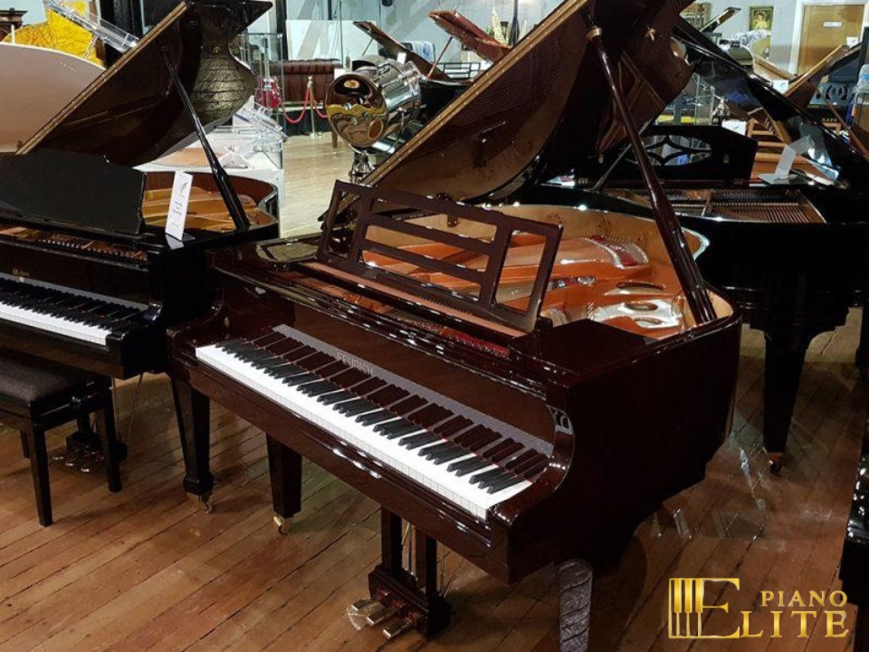 FEURICH 162 - "DYNAMIC I" (Bordeaux Polished)