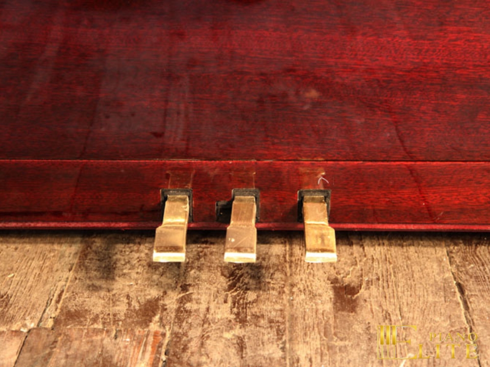 FEURICH 122 Universal (Bordeaux Polished) - Ảnh 2