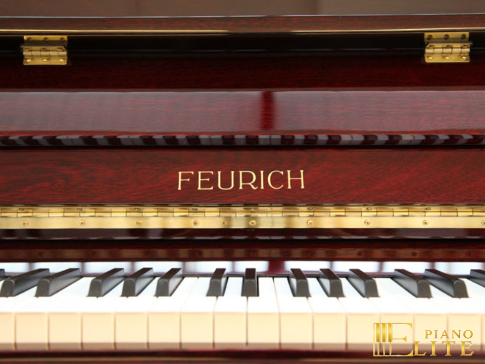 FEURICH 122 Universal (Bordeaux Polished) - Ảnh 3