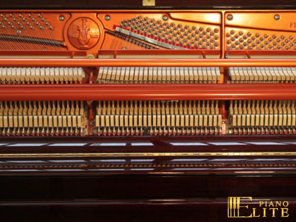 FEURICH 122 Universal (Bordeaux Polished) - Ảnh 4
