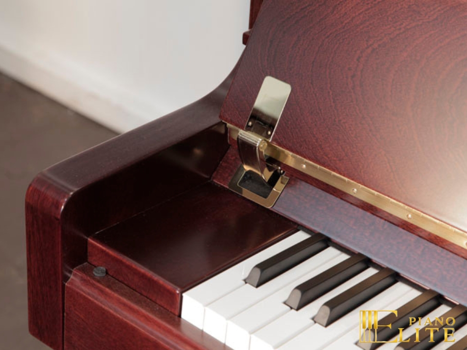 FEURICH 122 Universal (Bordeaux satin) - Ảnh 2