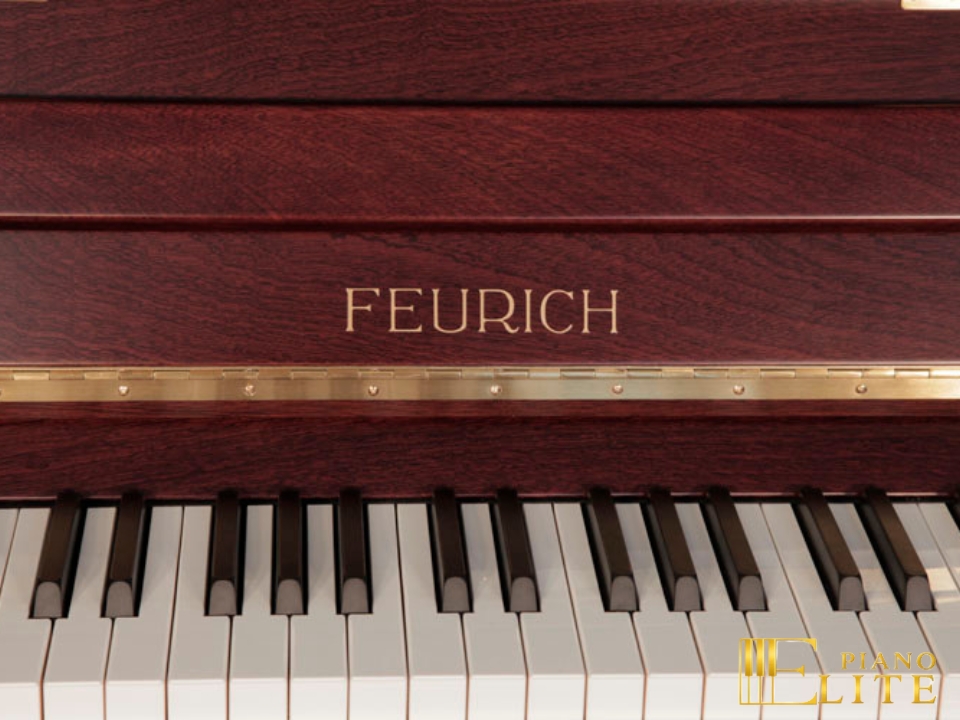 FEURICH 122 Universal (Bordeaux satin) - Ảnh 3