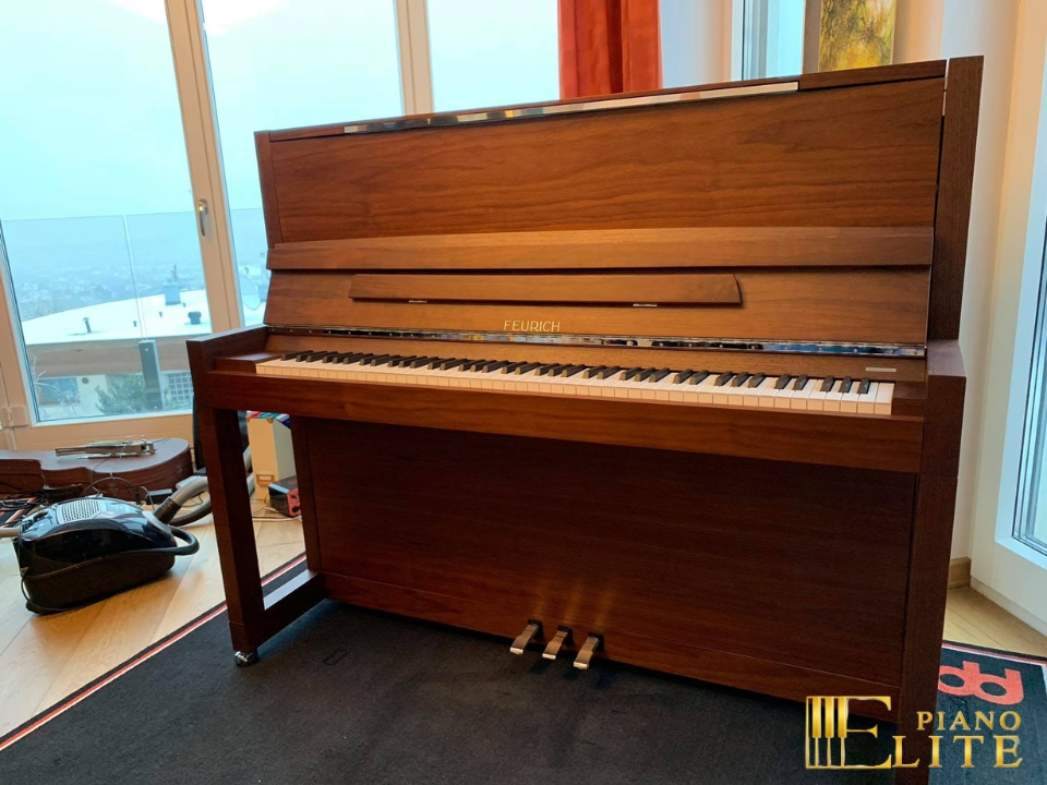 FEURICH 123 Vienna Modern | Made in Austria | Special Edition