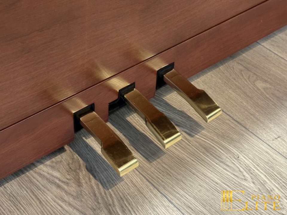 FEURICH 122 Universal (Walnut Satin) - Ảnh 9