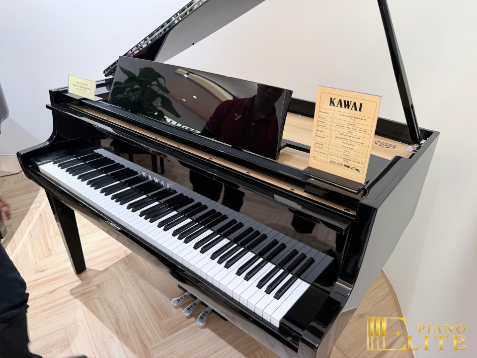KAWAI Novus NV12