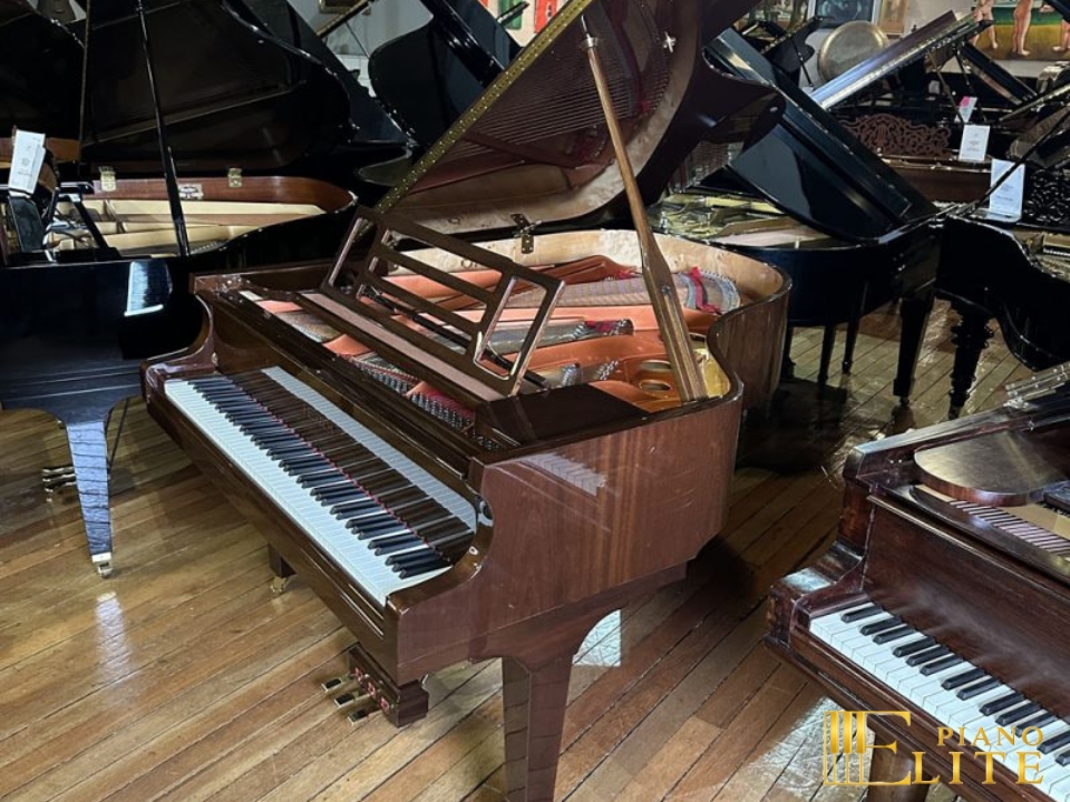 FEURICH 179 & DYNAMIC II (Walnut Polished & Brass)