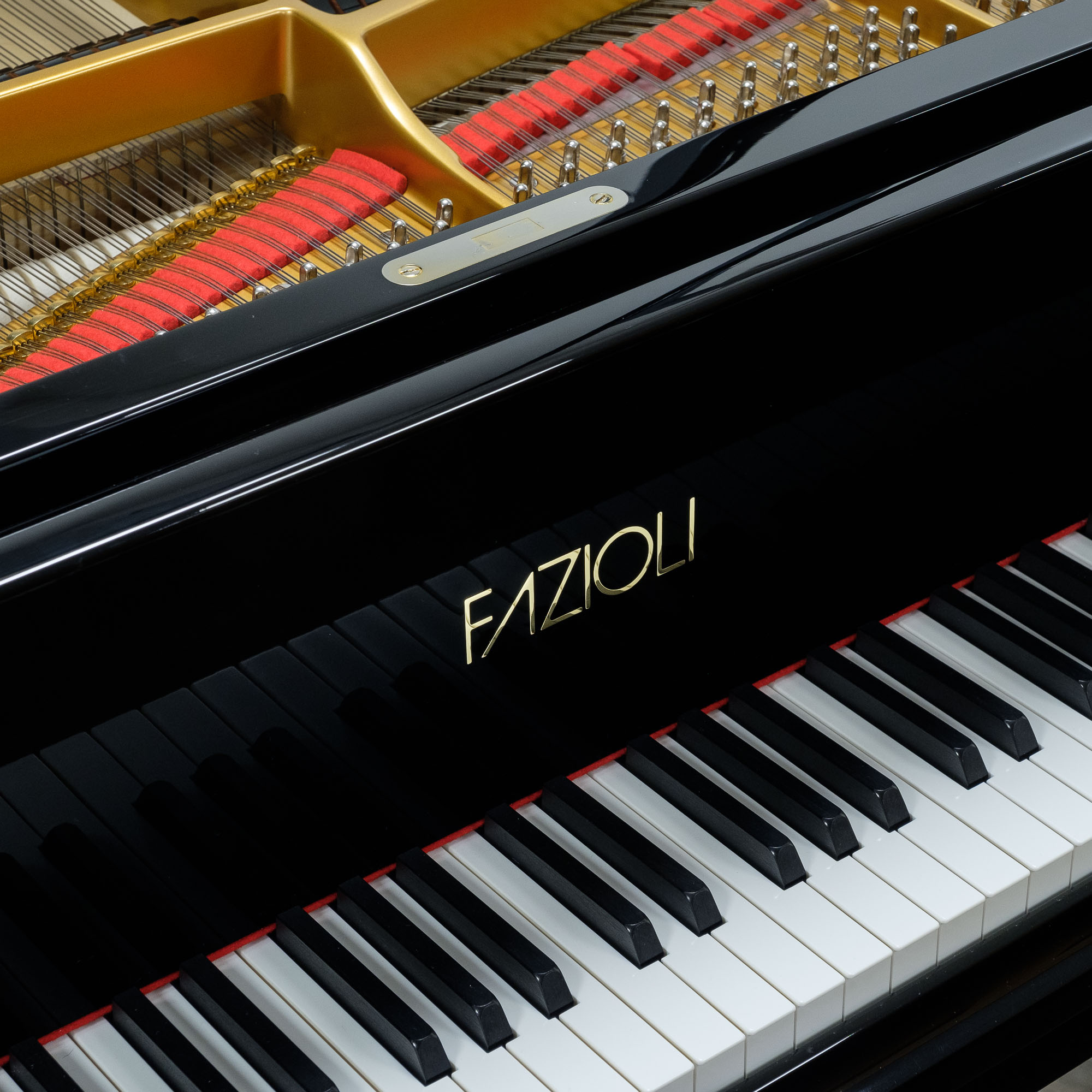 Hướng Dẫn Chọn Mua Piano Fazioli Phù Hợp
