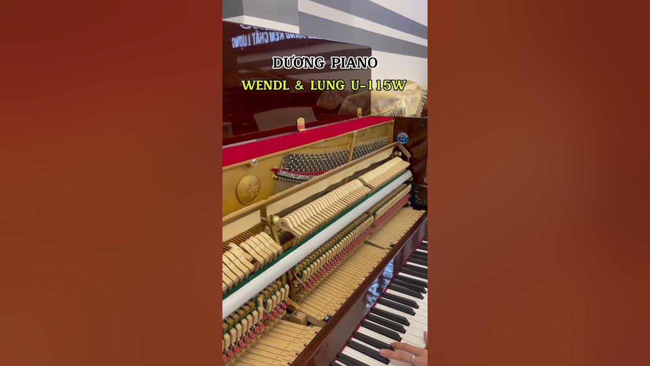Hướng Dẫn Chọn Mua Piano Wendl & Lung Phù Hợp