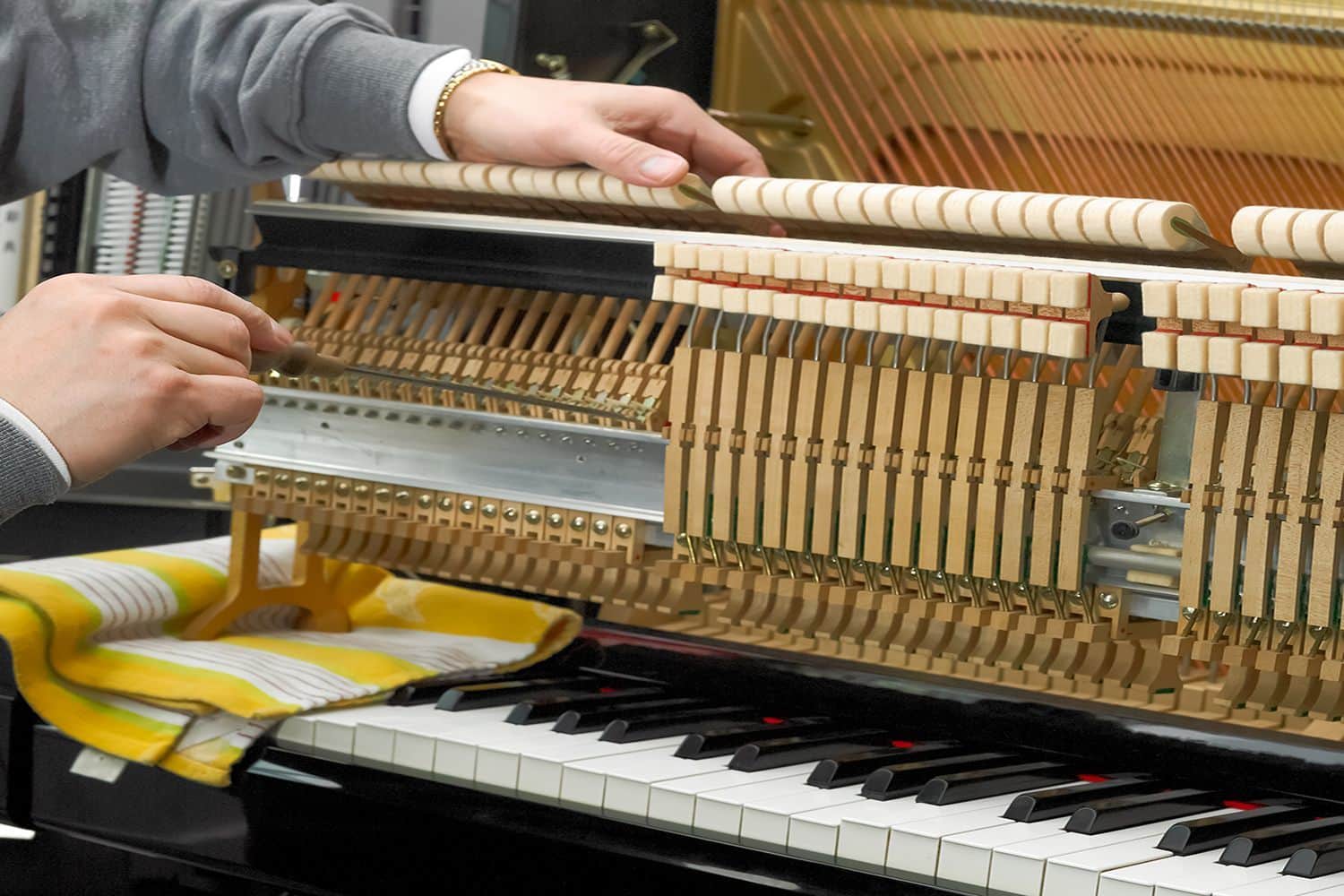 Bảo Dưỡng Và Chăm Sóc Piano Wendl & Lung Đúng Cách