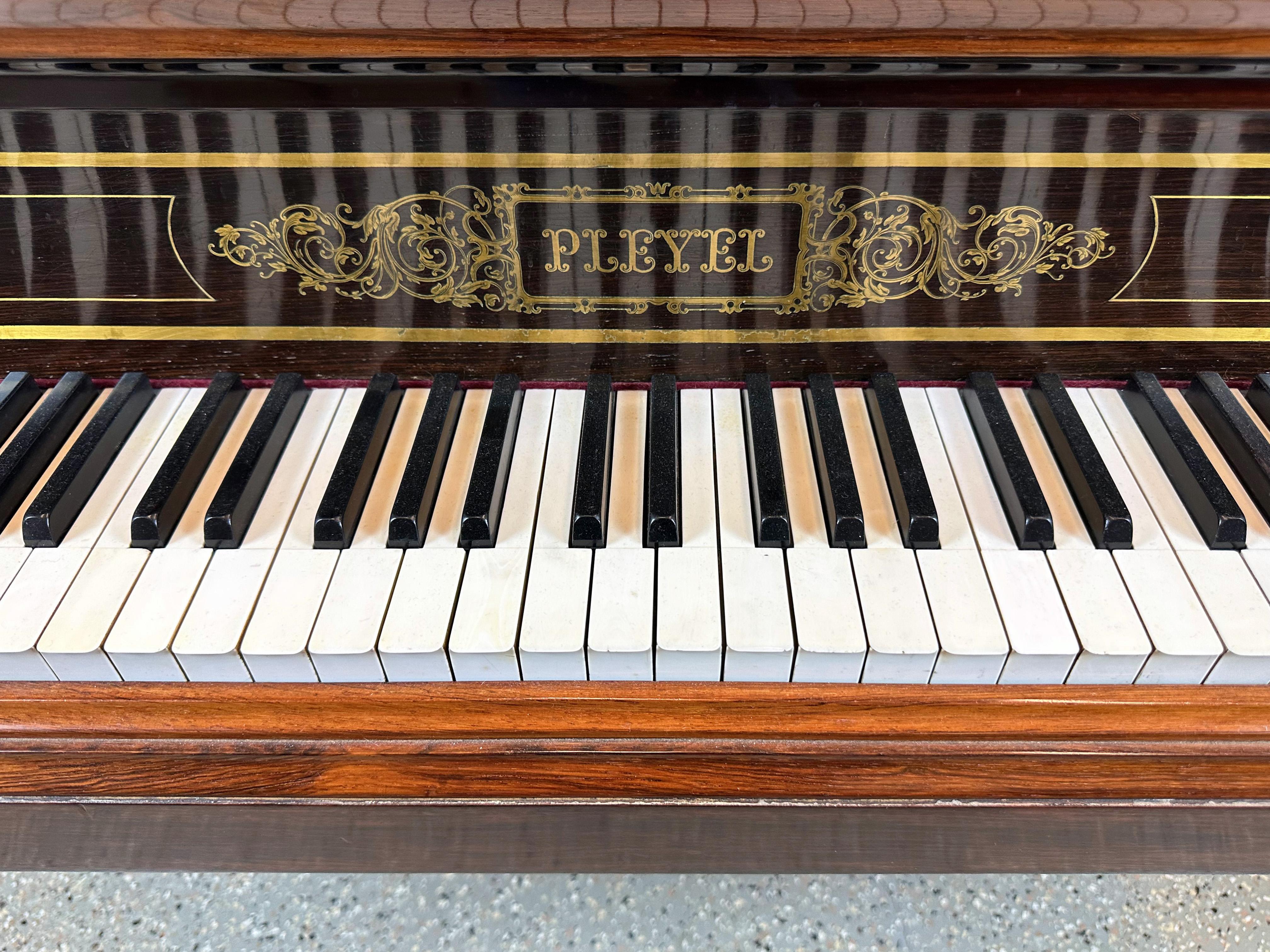Hướng Dẫn Chọn Mua Piano Pleyel Phù Hợp