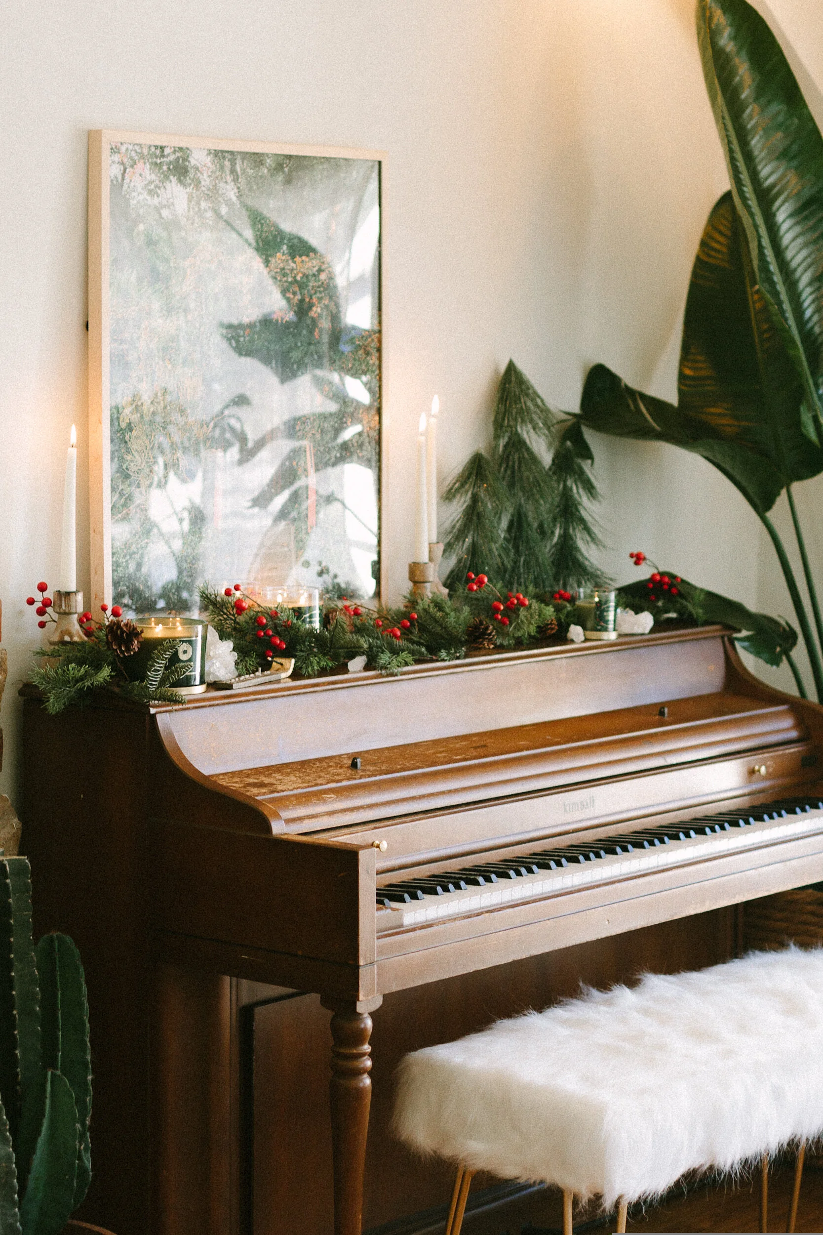 Upright Piano Và Grand Piano: Nên Chọn Loại Nào?