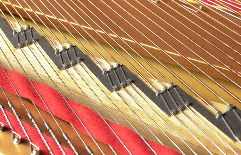 Kỹ thuật viên thực hiện pitch raise trên đàn piano
