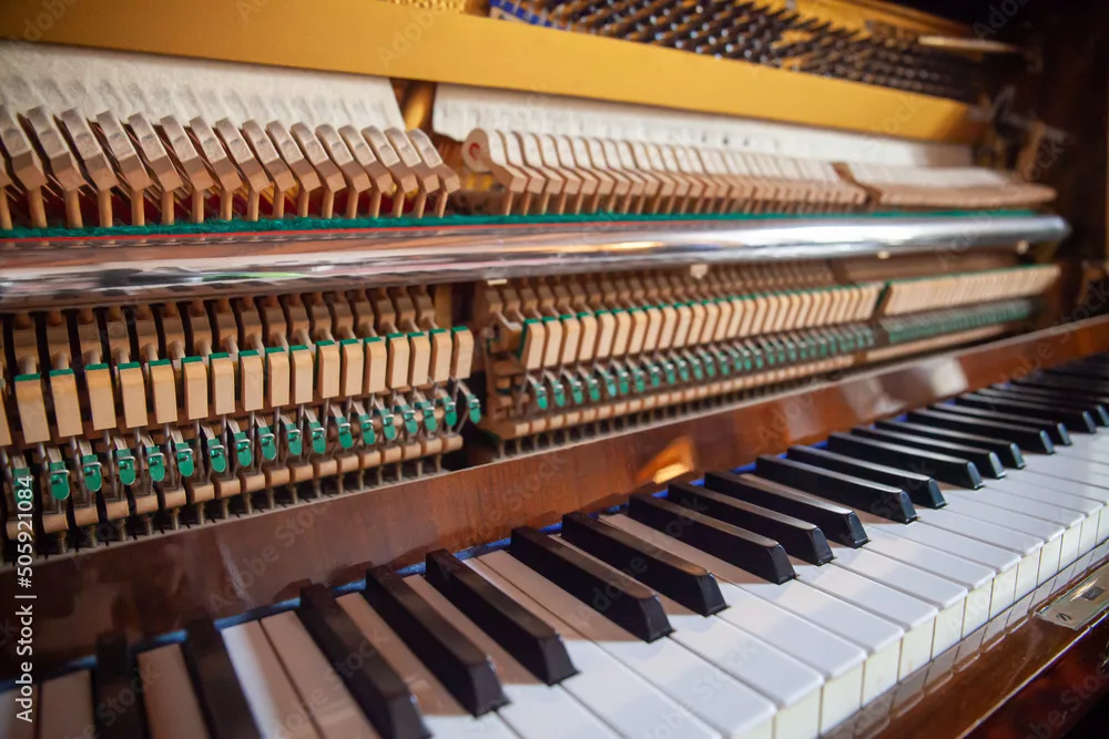 Sửa chữa cơ chế action piano