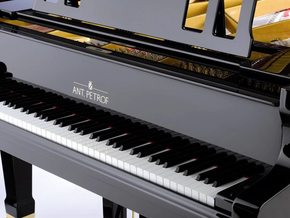Showroom trưng bày ANT. PETROF 275 tại Nah Music