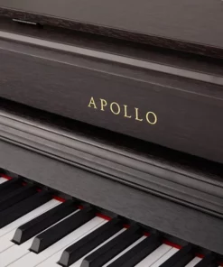 Apollo DP-260N