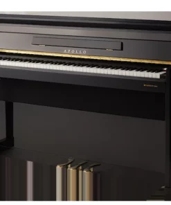 Apollo DP-260N