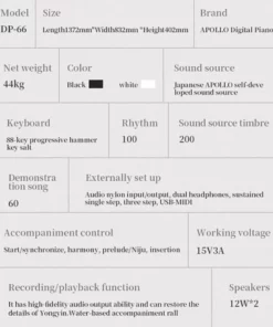 Apollo DP-66 (WH)