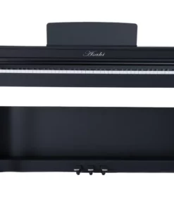 Asahi A202