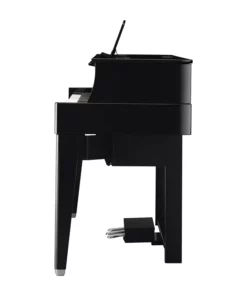 AVANT GRAND N1X (NEW)