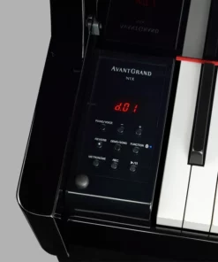 AVANT GRAND N1X (NEW)