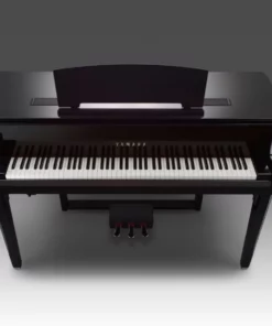 AVANT GRAND N1X (NEW)