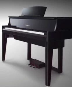 AVANT GRAND N1X (NEW)