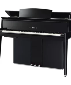 AVANT GRAND N2 (USED)