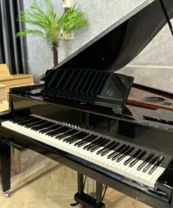 AVANT GRAND N3 (USED)