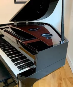 AVANT GRAND N3 (USED)