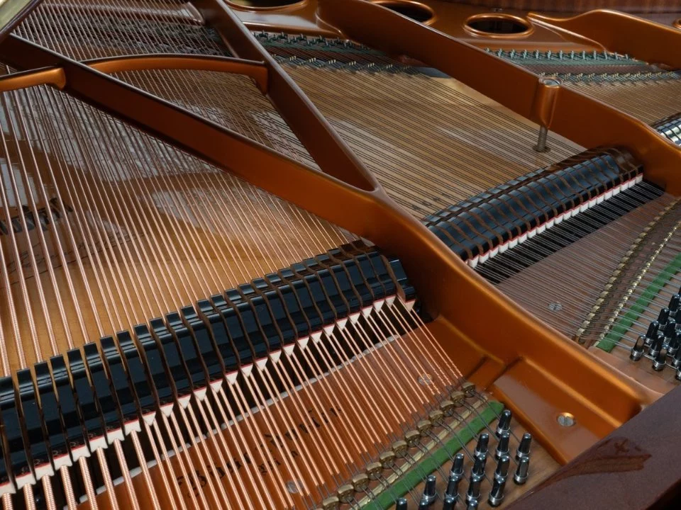 Bösendorfer 170 (USED) - Nah Music