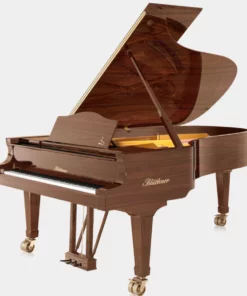 Blüthner Model 2