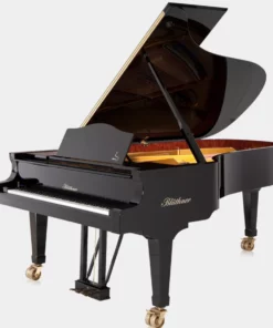 Blüthner Model 2