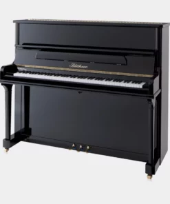 Blüthner Model A