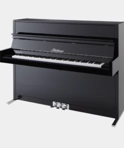 Blüthner Model D