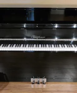 Blüthner Model D