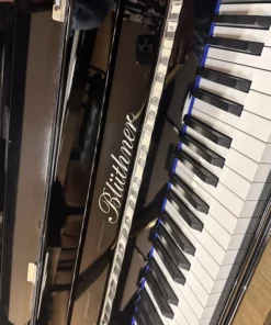 Blüthner Model D